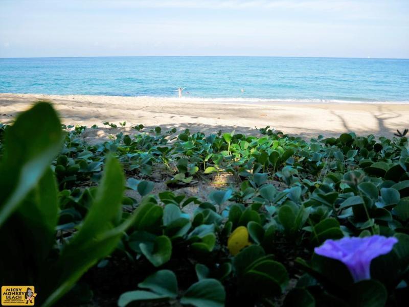 Micky Monkey Beach At Maikhao Beach Hotel Mai Khao Buitenkant foto